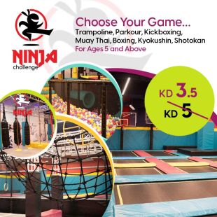 Choose your Favourite Activity at Ninja Challenge