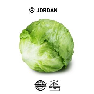 Fresh Jordanian Lettuce Iceberg (1 Pc )