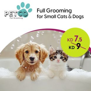 Full Grooming for Cats and Small Dogs at Petco