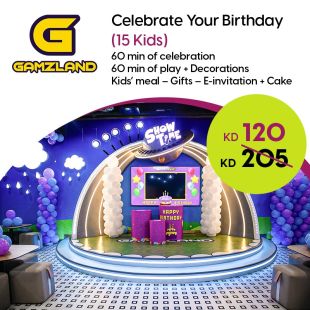 Celebrate your Kids Birthday Party for 15 Kids at GAMZLAND