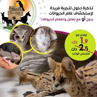 استمتع بأفضل تجربة لاستكشاف الحيوانات في  Amazon River