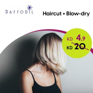 Haircut + Blow-dry at Daffodil Beauty Salon