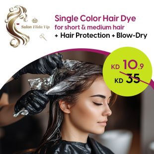 Single Color Hair Dye +Hair Protection + Blow-Dry at Elida Salon