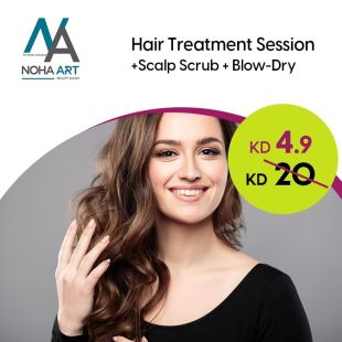Therapeutic Hair Session + Scalp Exfoliation + Blow-Dry from Noha Art