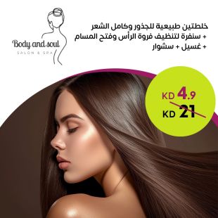 خلطتان طبيعيتان للشعر + سنفرة فروة الرأس + غسيل + سشوار في Body And Soul Salon & Spa