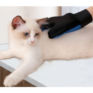 Left Hand Glove For Massage and Removing Loose Pet Hair