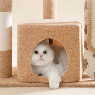 إطار تسلق للقطط بلوح خدش 100×82×40 سم