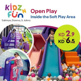 Fun Kids Experience: Soft Play & Face Painting at Kidz n Fun