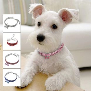 Crystal Three Row Dogs Collar