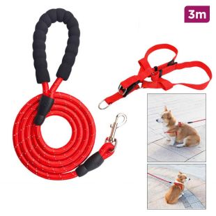 Reflective pet harness and leash set
