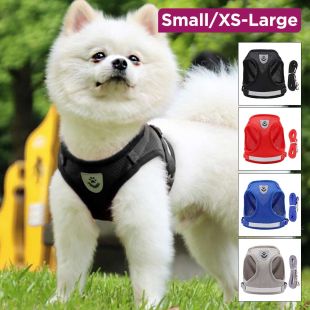 Breathable Mesh Pet Harness with Leash