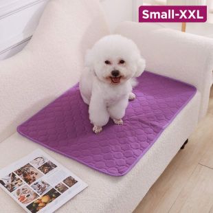 Plain Reusable Pet Urine Absorption Protection Cover
