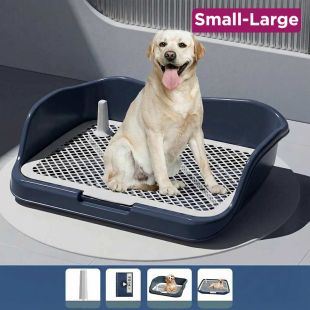Potty Training Base for Pet Dogs