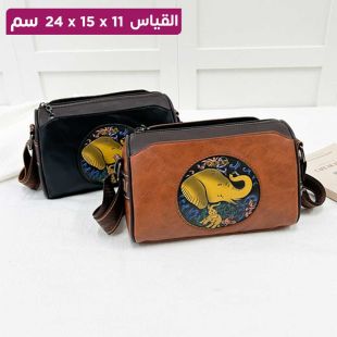 حقيبة كروس جلد مطرزة - 24 × 15 × 11 سم