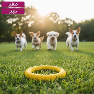 لعبة Ring ممتعة للحيوانات الأليفة من مادة EVA