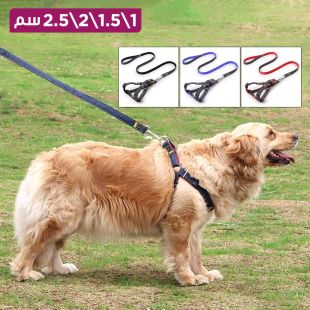 طقم حزام ومقود للحيوانات الأليفة