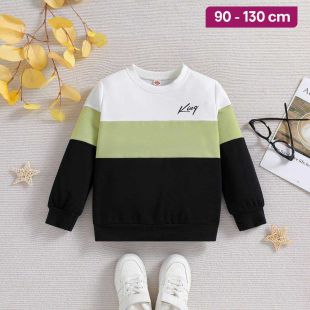 Boys Round Neck Sweatshirt