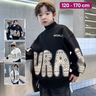 Cotton Padded High Neck Sweatshirt for Boys