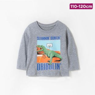 Boys’ Cotton Long Sleeve T-Shirt with Basket Rex Design