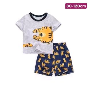 Children’s Cotton Summer T-shirt and Shorts Set with Tiny Tiger Design