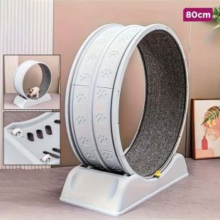 Anti-slip Pet Circular Treadmill 80cm