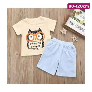 Children’s Cotton Summer T-shirt and Shorts Set with Cute Hoot Design