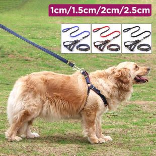 Pet Harness Leash And Collar Three-Piece Set