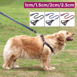 Pet Harness And Leash Set