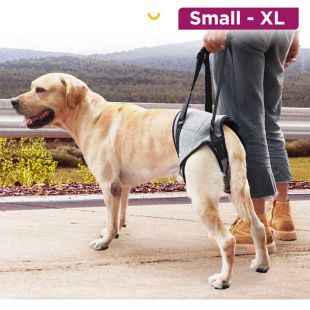 Injury Support Harness Hind Legs For Dogs