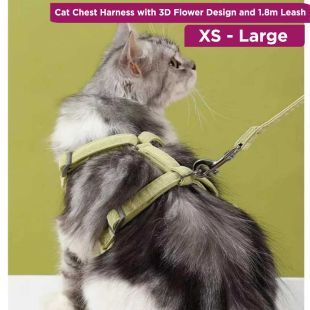 Cat Chest Harness with 3D Flower Design and 1.8m Leash