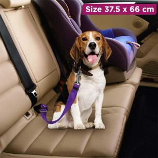 حزام أمان للكلاب قابل للتعديل 37.5 - 66 سم