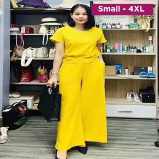 Solid Commute Short-Sleeve Two-Piece Set for Women