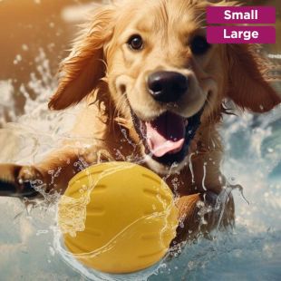 Ball Fun Pet Toy Made Of EVA Material