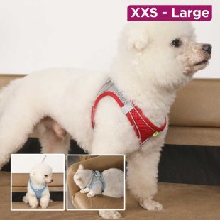 Stylish Pet Walking Belt