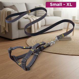 Denim Pet Walking Belt