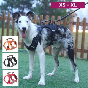 Adjustable Walking Harness For Pets