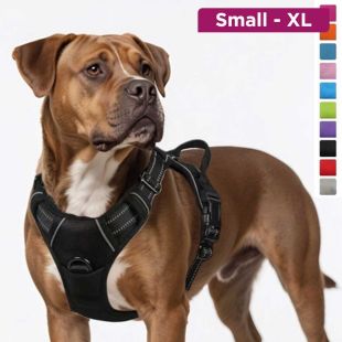 حزام صدر للكلاب من النايلون مع حبل متين