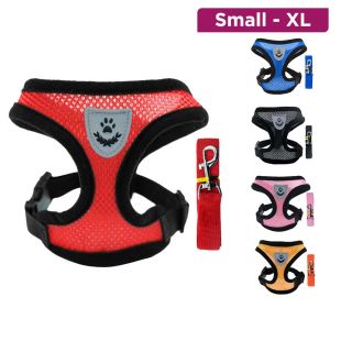 طقم تمشية للحيوانات الأليفة، حزام و طوق للقطط والكلاب