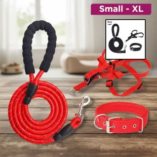 Set of Reflective Leash, Harness, and Collar For pet