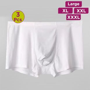 Quick-Dry Lightweight Sports Underwear for Men - 3Pcs