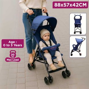 Foldable Baby Stroller with Canopy