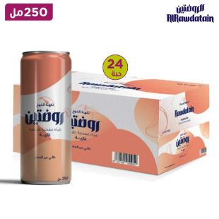 مياه روضتين المعدنية الغازية الطبيعية بنكهة الخوخ، خالية من السكر - علبة 24 × 250 مل