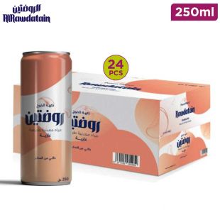 Rawdatain Natural Carbonated Mineral Water Peach Flavor Sugar Free - 24x250ml Can 