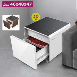 ثلاجة ذكية صغيرة الحجم سعة 30 لتر مع شحن لاسلكية وشاشة عرض LED