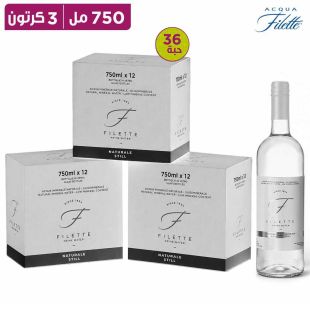 أكوا فيليت ستيل – 12 × 750 مل – 3 كراتين