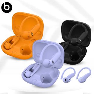 Beats Powerbeats Pro 2 Wireless Earbuds