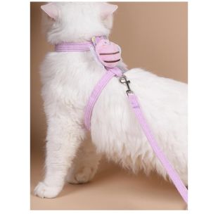 حزام مشي للقطط بتصميم نحلة مع مقود