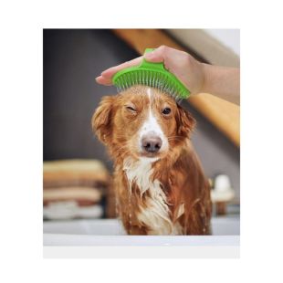 Pet Massage Brush with Rounded Metal Tips – 12.8 × 9 × 3.9 cm