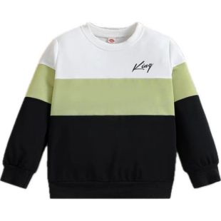Boys Round Neck Sweatshirt