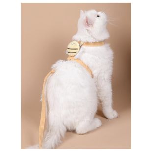 حزام للقطط بتصميم نحلة مع مقود